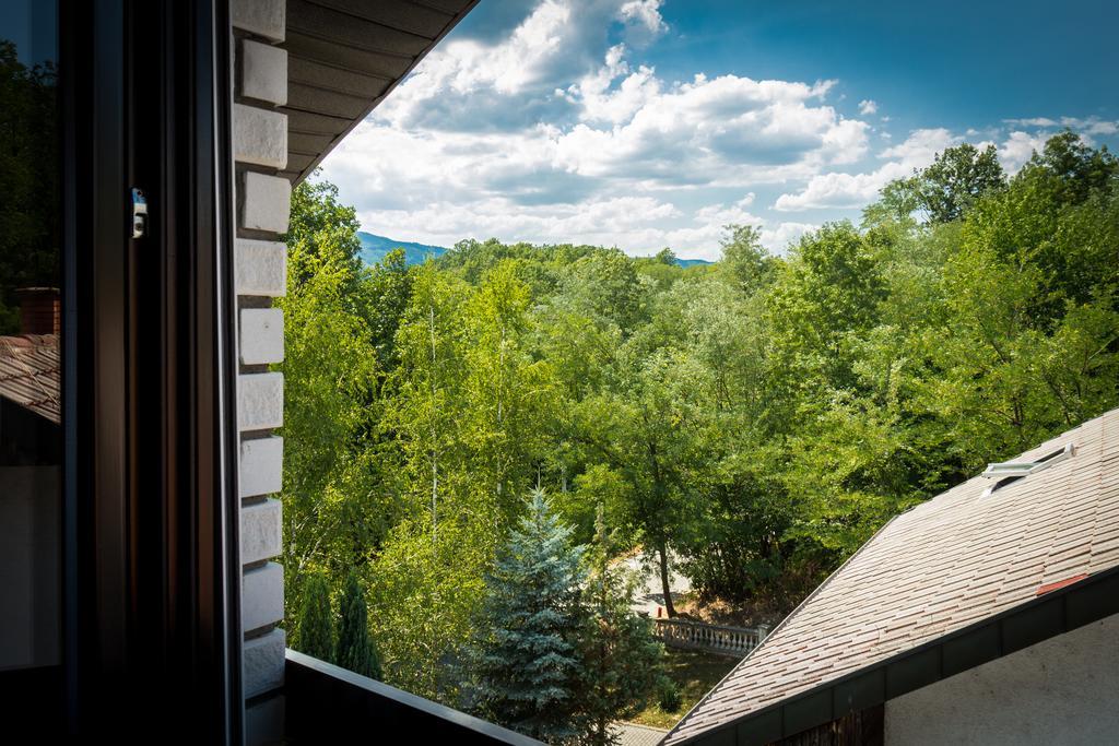 Hotel Danica Vrnjačka Banja Cameră foto